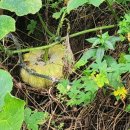 한덕농장 이미지