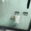 뉴데이 울산