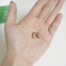 ㈜그린에너지 | 올리브영 어워즈 다이어트 보조제 추천 메타그린 슬림업 연말 약속 걱정 NO