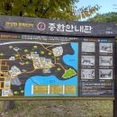임마누엘여행사