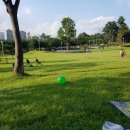 동구밖코다리찜 이미지