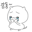 비바스파게티