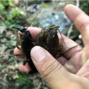 삼부자농장 이미지