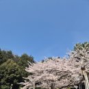 용지호수어울림도서관 | 창원 용지호수 공원 무장애 도시숲ㅡ 메타세쿼이아 가로수 길