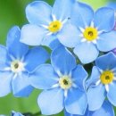 오늘의 선물 이미지