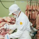 강원양돈농협 하나로마트 이미지