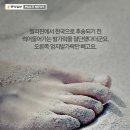 나! 박이야 이미지