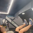 피티데이 이미지