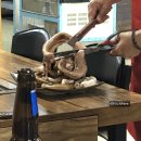 대머리장어 이미지