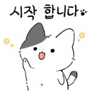 대야투유호N플러스빌골드 이미지