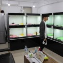 WALWAL(왈왈) 네이버블로그
