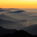 동양농장 이미지