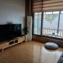 바우바우애견펜션 이미지