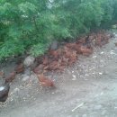 오월농장 이미지