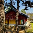 풍기향교 티스토리