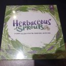 게임타임 | [보드게임 후기] 이블교수의 타임 시타델/ Herbaceous Sprouts / 가니메데 / 수목원 / 도르프로만틱