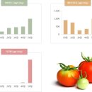 팀토마토 이미지