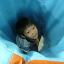 [유아체육] 지각운동 이미지