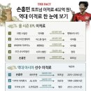 2015년 당시 손흥민 이적료 이미지