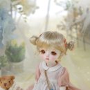 도로시& 이미지