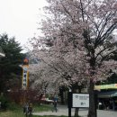 미륵리 마을회관 이미지