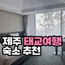 여행트리 | 제주 태교여행 숙소, 가성비 좋았던 캠퍼트리 호텔 후기