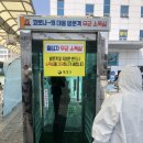 바람의핫도그동피랑점 | 통영 여행 1일차, 혼자서 즐긴 동피랑 벚꽃코스!