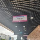 사계진미파인 이미지