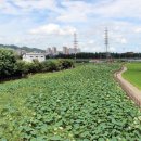 금강역 레일카페 이미지