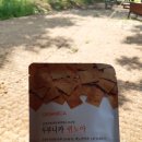 더리터에코자이점