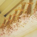 매직스튜디오 이미지