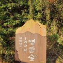 익산 통일 산악회 6월 정기산행 이미지