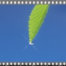 머물고싶은곳 이미지