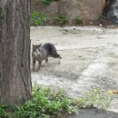 파리바게트 충정디오빌점