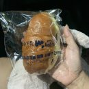 스테이서프픽 | 여행 송지호해변 서프그라운드/봉포항대게맛집 우리들횟집/아야진해변 카페 스테이165/속초 무공돈까스...