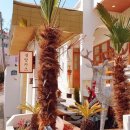 신동아카센타 이미지