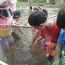 주록리계곡루돌프농장 | 🏞️ 주말 아이와 가볼만한곳! 여주 주록리 계곡 송사리 잡기+수제 피자 만들기 패키지