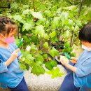 동영유치원 이미지