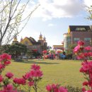 서전주유치원 이미지