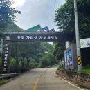 가리산자연휴양림 이미지