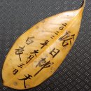 이충실