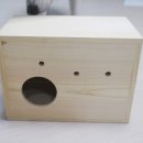 상애농장 | [아가새농장] 왕관앵무새 커플을 위한 외부형 알통구매~!