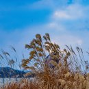 청계산수변공원 이미지