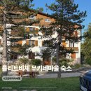 정류장 입구 | 크로아티아 플리트비체 무키네마을 에어비앤비 숙소 추천 (버스정류장 픽업)