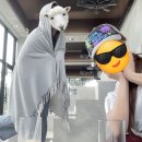 제이씨카페 | 양산 대형카페 띵카페 추천 | 소금빵과 아바라, 허니자몽블랙티 맛집