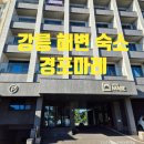 마레모텔 | 강릉 경포 마레호텔 내돈내산 숙박후기