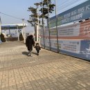 피자스쿨(안성공도점) | 2019.1.13~19