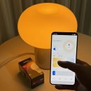 비마켓 | 이케아 데이사+마켓비 스마트 전구 사용 상세후기(앱 연결방법, 조명 알람기능)