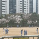 궁내중학교 앞 이미지