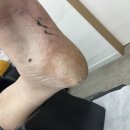 세븐일레븐 화성봉담주공점 | 화성시 화산동 발각질 깨끗한 발 되찾아주는 곳 발라발라네일 봉담점